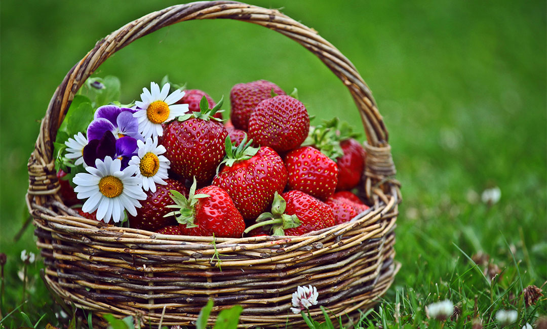 河东点呀点水果电商APP开发案例